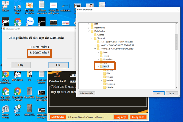 Cài Script cho metatrader 5