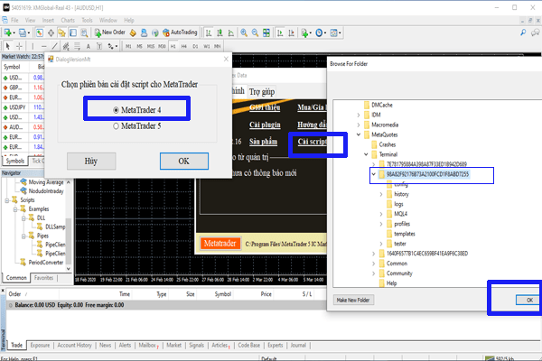 Cách cài đặt Script cho Metatrader 4